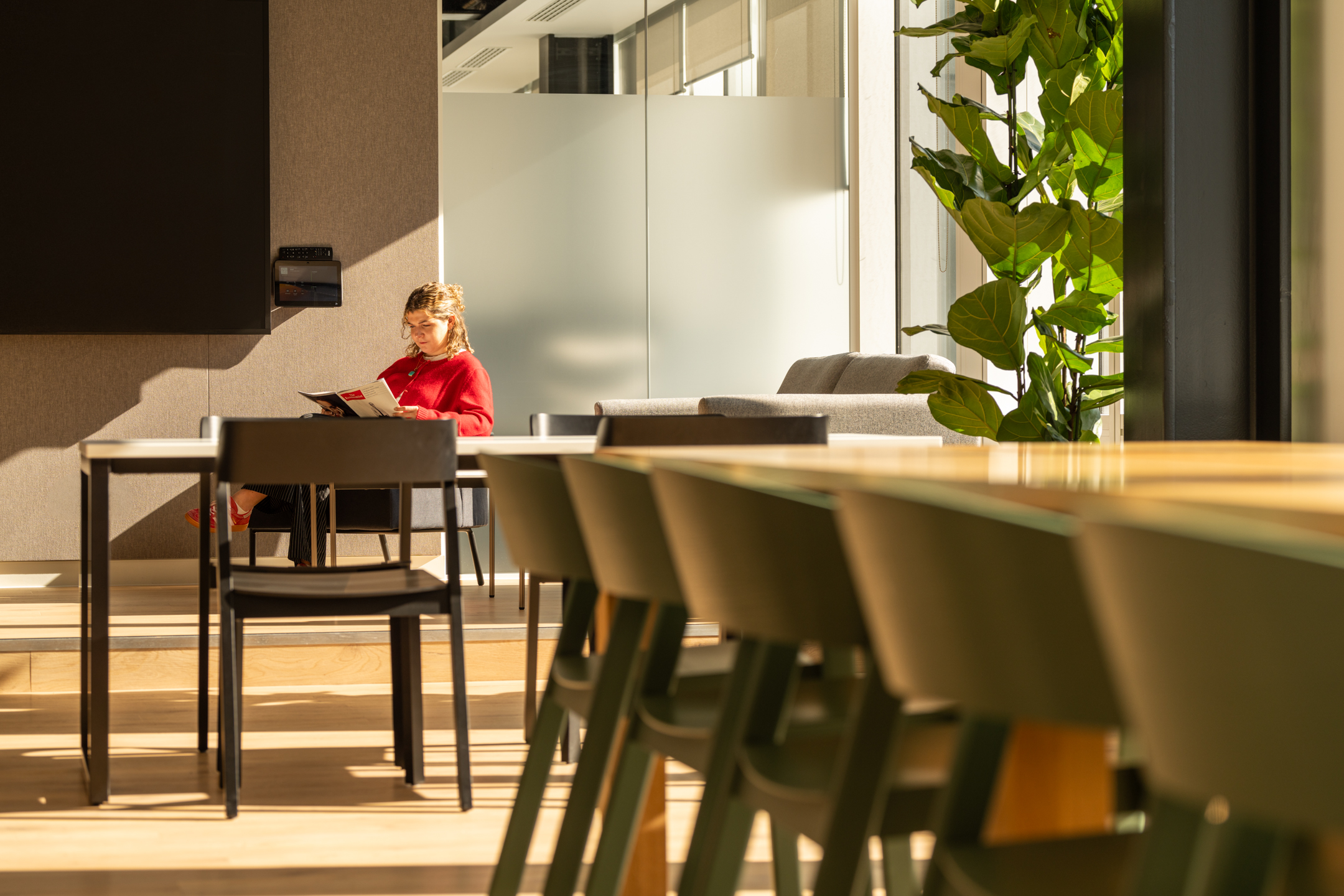 Person reading in a Shionogi office, with green chairs, wooden tables, and large windows.